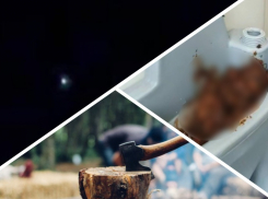 Новости Запорожья: мужчина зарубил отца топором, пришествие НЛО и фекальные рисунки