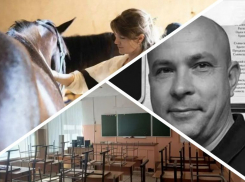 Новости Запорожья: школы перевели на дистант, помощь лошадям и похороны чиновника