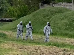 Стали известны масштабы загрязнения мазутом реки Мокрая Московка в Запорожье