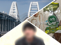 Новости Запорожья: женщина чуть не съела червей из рыбы, работа на ГУР ради сына и подготовка к разрушению Крымского моста