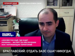 Доцент СевГУ Браславский: совместное управление ЗАЭС не имеет ничего общего с интересами России