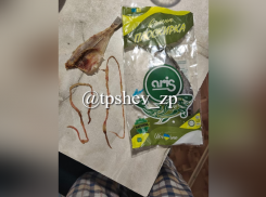 Жительница Запорожья купила в супермаркете рыбу с огромными червями