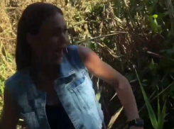 Прожорливая саранча напугала запорожскую блогершу во время съёмки видео