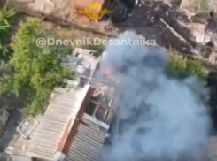 ВС РФ сожгли детище Илона Маска и сняли это на видео в Запорожской области