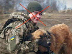 «Валькирию Зеленского» из Кировоградской области уничтожили на Запорожском фронте СВО