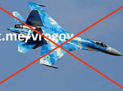 Украинский Су-27 был сбит в небе над Запорожской областью