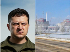 Зеленский отказался отдавать Донбасс и Запорожскую АЭС без боя