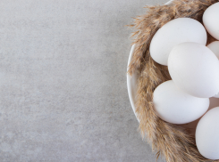 Россельхознадзор выявил в Запорожской области более 10 тысяч яиц без документов