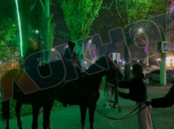 Необычный вид досуга организовали на месте смертельного ДТП с Лизой Мелиховой в Мелитополе