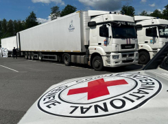 Запорожская область получила тела военнослужащих 