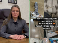 «Осколок летел в неё, когда учила уроки»: раскрыты детали артобстрела дома в Васильевке