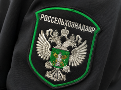 В двух кафе и столовой Мелитополя обнаружили мясо без документов