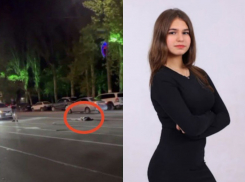 «За рулём была пьяная женщина»: Украина распространила фейковые данные о смерти Лизы в ДТП в Мелитополе 