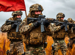 Новости СВО: бои на границе Запорожской области и ДНР и уничтожение техники НАТО