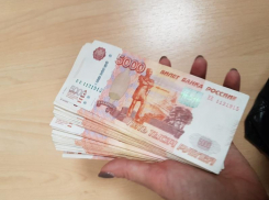 Бердянский ветеринар нажилась на безработных, устроив их на работу только «на бумаге»