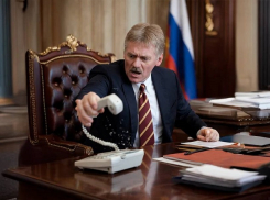 В Кремле ответили на слова Зеленского о готовности к «бою» за Запорожскую АЭС и Донбасс 