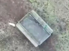 Момент уничтожения техники ВСУ за Запорожском фронте попал на видео