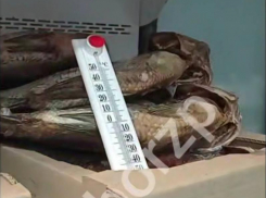 Запорожцу продали в местном магазине гнилую рыбу