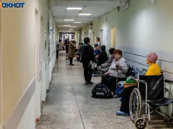 Как жители Запорожской области могут записаться на прием к врачу