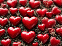 Какие подарки лучше всего дарить на 14 февраля своим вторым половинкам