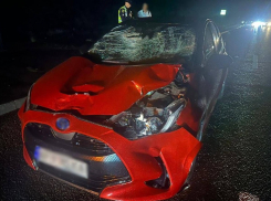 Женщина на Toyota сбила двух человек в Запорожье