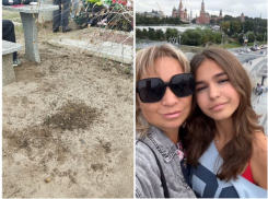 Инцидент на могиле сбитой Лизы возмутил её мать и тысячи мелитопольцев