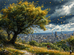 В Запорожской области объявили оранжевый уровень погодной опасности