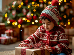 На Кремлёвскую ёлку попадут 80 запорожских школьников