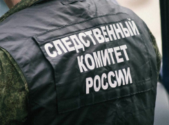 Директор сельхозпредприятия полгода не платил зарплату сотрудникам в Запорожской области