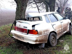 Водитель LADA попал в больницу после столкновения с деревом у села Семёновка под Мелитополем