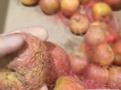 «Этим только скотину кормить»: жители Запорожской области пожаловались на тухлые продукты в гипермаркетах