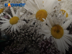 В День семьи, любви и верности читатели «Блокнот Запорожье» рассказали, где нашли вторую половинку