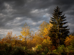В Запорожской области объявили штормовое предупреждение
