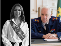Бастрыкин заинтересовался делом о ДТП, в котором погибла 15-летняя Лиза в Мелитополе