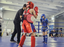 В Мелитополе завершились соревнования по тайскому боксу