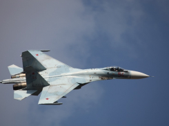 После крушения Су-27 в Запорожской области у ВСУ осталось крайне мало истребителей