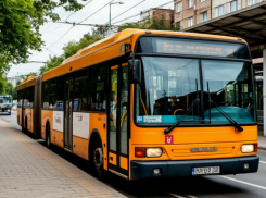 Проезд для запорожских студентов хотят сделать бесплатным