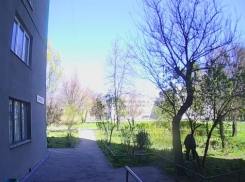 Прыткая цветочная воровка попала на видео в Запорожье