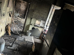 Пельмень и Цезарь погибли в сгоревшем конном клубе города Запорожье