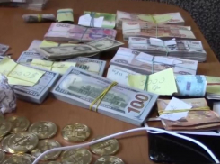 Банду нелегальных перекупщиков валюты накрыли в Запорожской области 