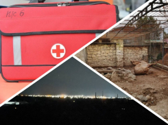 Новости Запорожья: ВСУ убили двух мирных жителей, частичный блэкаут и «воскрешение» льва