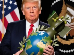 Новости СВО: Трамп готов бомбить РФ, ВСУ отступили на 10 км в Запорожье и подвиг бойца ВС РФ в Малой Токмачке 