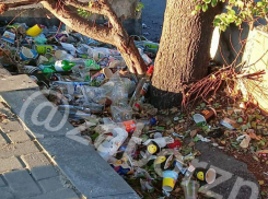 Запорожцы пристыдили жителей за свалку окурков и бутылок у автовокзала 