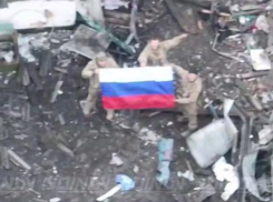 Российская армия освободила Гуляйполе и Степногорск на Запорожском фронте СВО