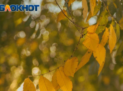 Стало известно, когда отменят особый противопожарный режим в Запорожской области