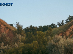 Режим чрезвычайной пожароопасности продлили в Запорожской области