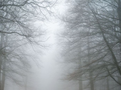 Штормовое предупреждение из-за тумана на Азовском море объявили в Запорожской области