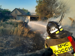 Порядка 150 пожаров произошло в Запорожской области за неделю