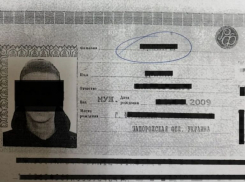 16-летнего дроппера приговорили к обязательным работам в Мелитополе