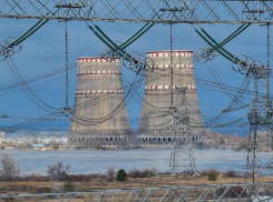 Глава Энергодара: маршрут экспертов МАГАТЭ должен проходить в обход Украины